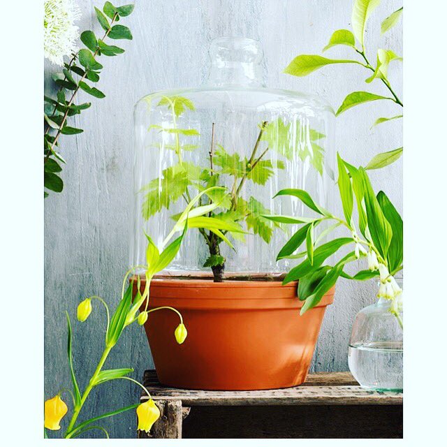 LivvLifestyle's tweet photo. Lang leve de botanic trend #micadecorations https://t.co/Ihb42TGlkF https://t.co/Bs3ApT8y2w