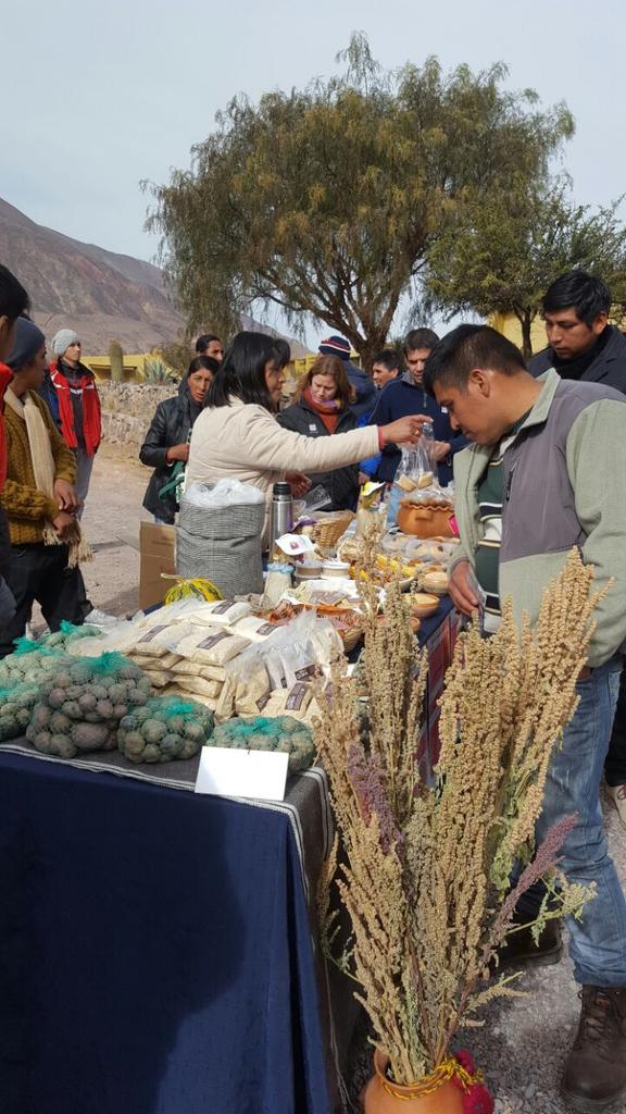 INTACIPAF's tweet photo. Momentos vividos en Posta de Hornillos #Jujuy, #IPAFNOA, durante la jornada Proceso innovación tecnológica #Quinua https://t.co/eUALiRWbXM