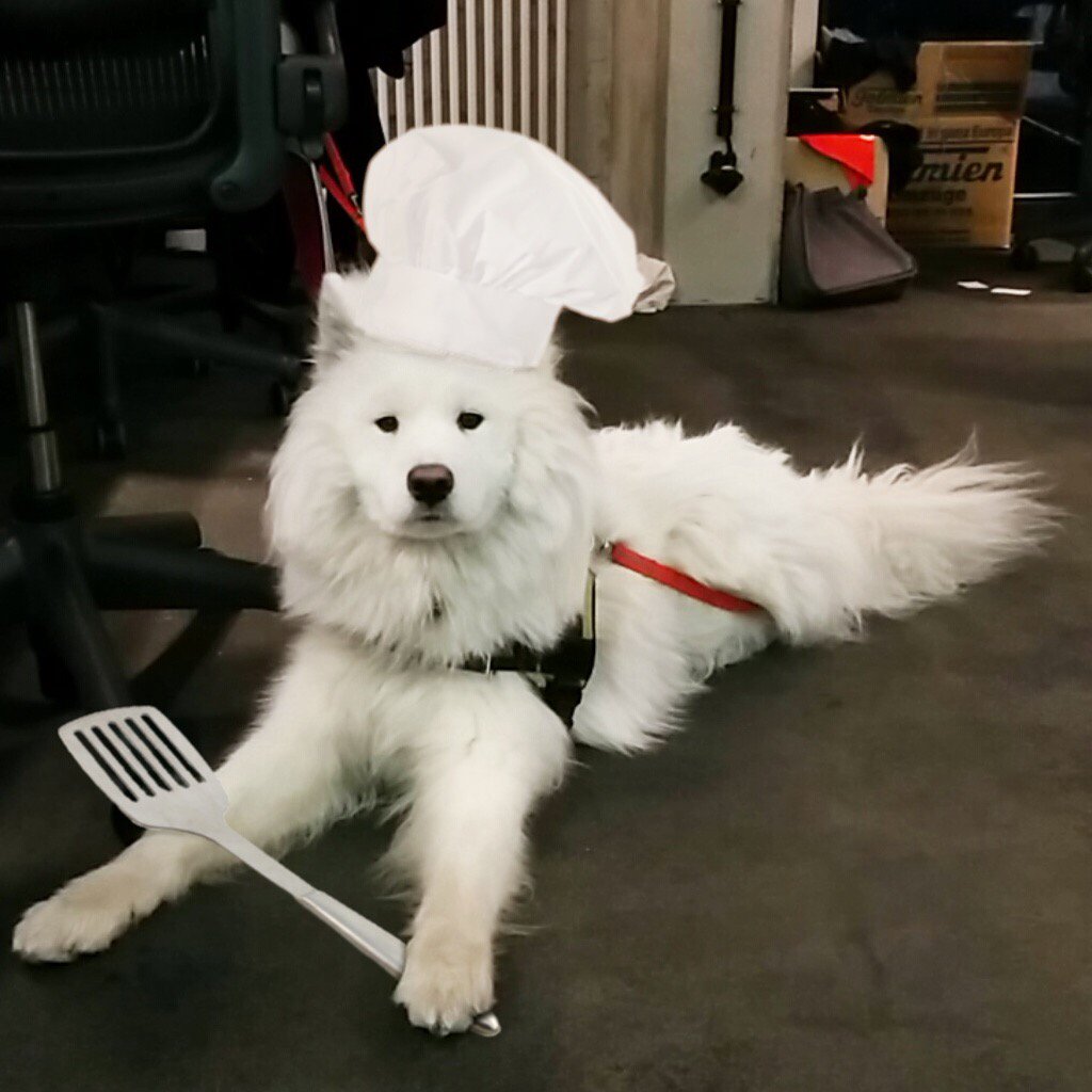 SoundCloudJobs's tweet photo. All good @jobvite, mistakes happen. Who is going to tell Perun? https://t.co/lECYgrjv51