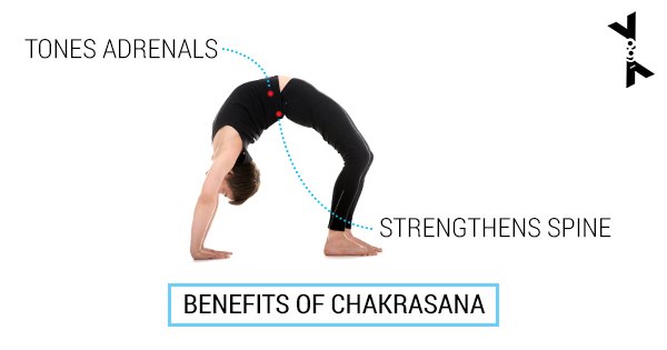 A #YogaPose for those who sit for long hours everyday. Spread the #YogaBenefits: bit.ly/299H7Xc