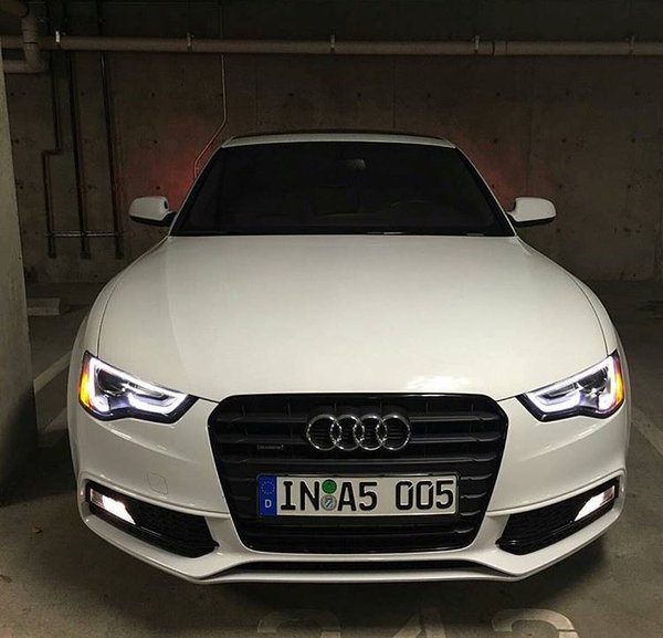 LegitCandy's tweet image. Those eyes...