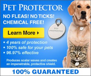 protector_pet's tweet photo. #protect your #pet more info https://t.co/o1bWcYUhvL
#petsowner #pets #dogs #cats #horse #fleaks #ticks https://t.co/oZIZGkGhg4