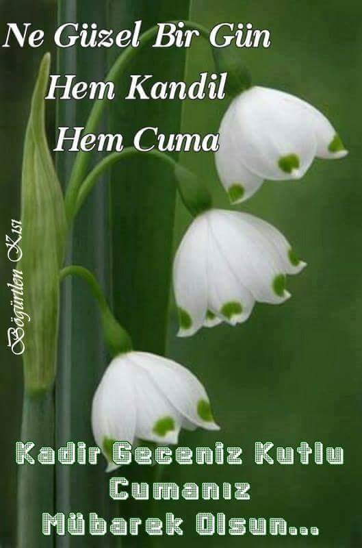 Tüm Müslüman aleminin kandili mübarek olsun hayırlara vesile olsun inşallah