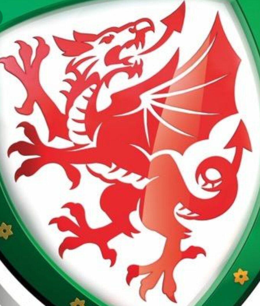 Good luck to <a href="/FAWales/">FA WALES</a> tonight against <a href="/BelRedDevils/">Belgian Red Devils</a> in the 1/4 finals of @EURO2016 #TogetherStronger #walesvbelgium