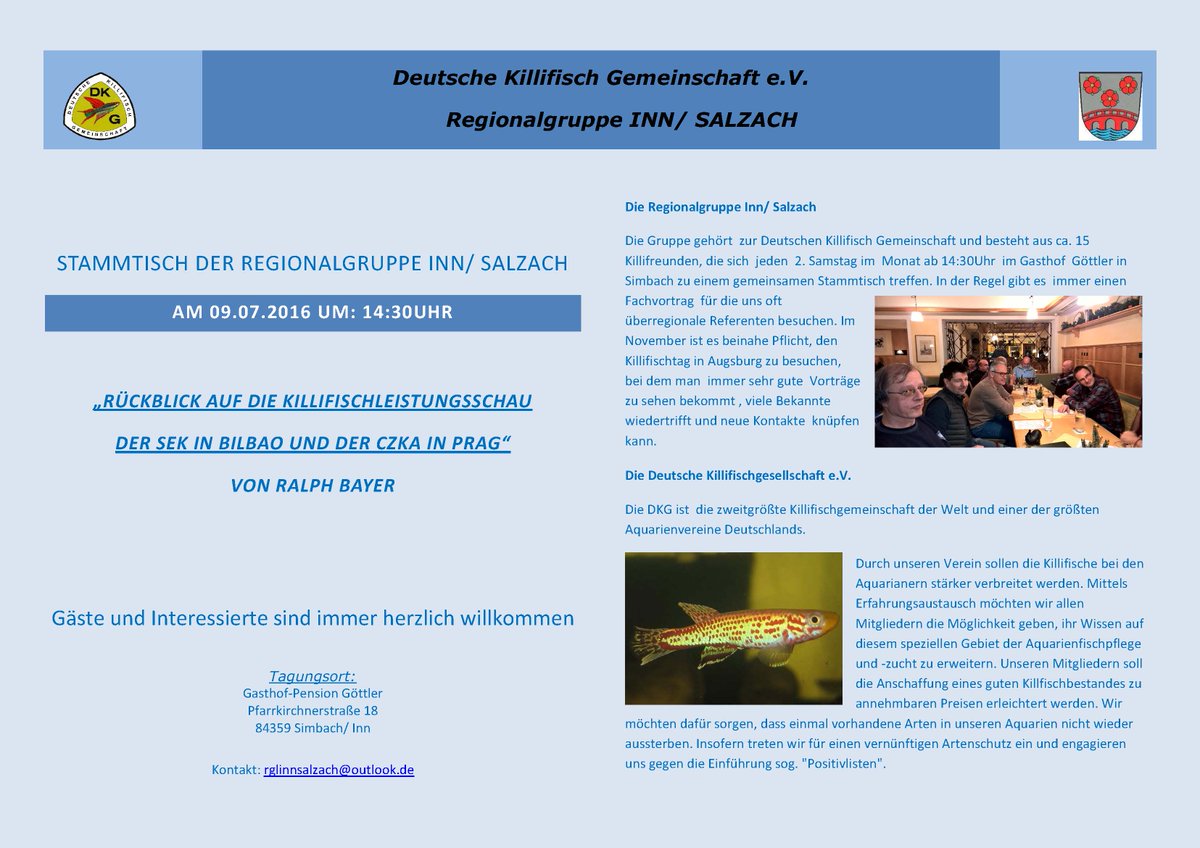 RGLInnSalzach's tweet photo. #rglinnsalzach #deutschekillifischgemeinschaft
#killifisch #killifish https://t.co/ZseTbOJZ5N