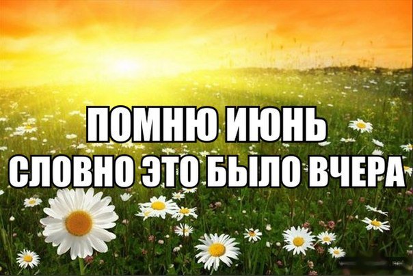 AuditMoscow tweet picture