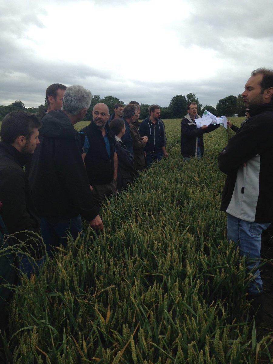 ValOiseAgri's tweet photo. Tour de plaine bilan de campagne #blé #désherbage #basvolume @CAIDF https://t.co/TOqYL0Rh08