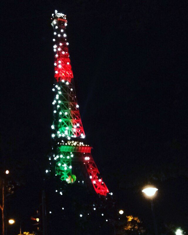 DosHlna's tweet photo. La grande dame 🇵🇹. #onestdegueulasse #EURO2016 #POR https://t.co/E0oHaS5K27