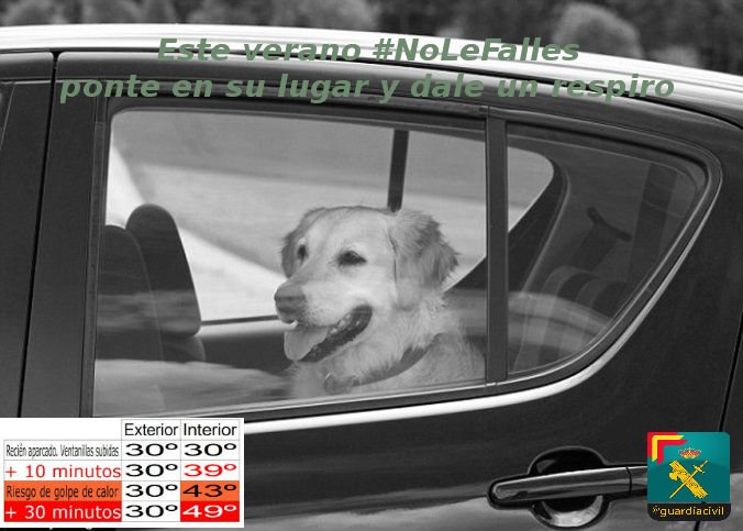 guardiacivil's tweet image. No...si ya sabemos que los perros hacen virguerías , pero de momento es difícil que pulsen el elevalunas con sus patitas, ¿no crees?
#DaleUnRespiro