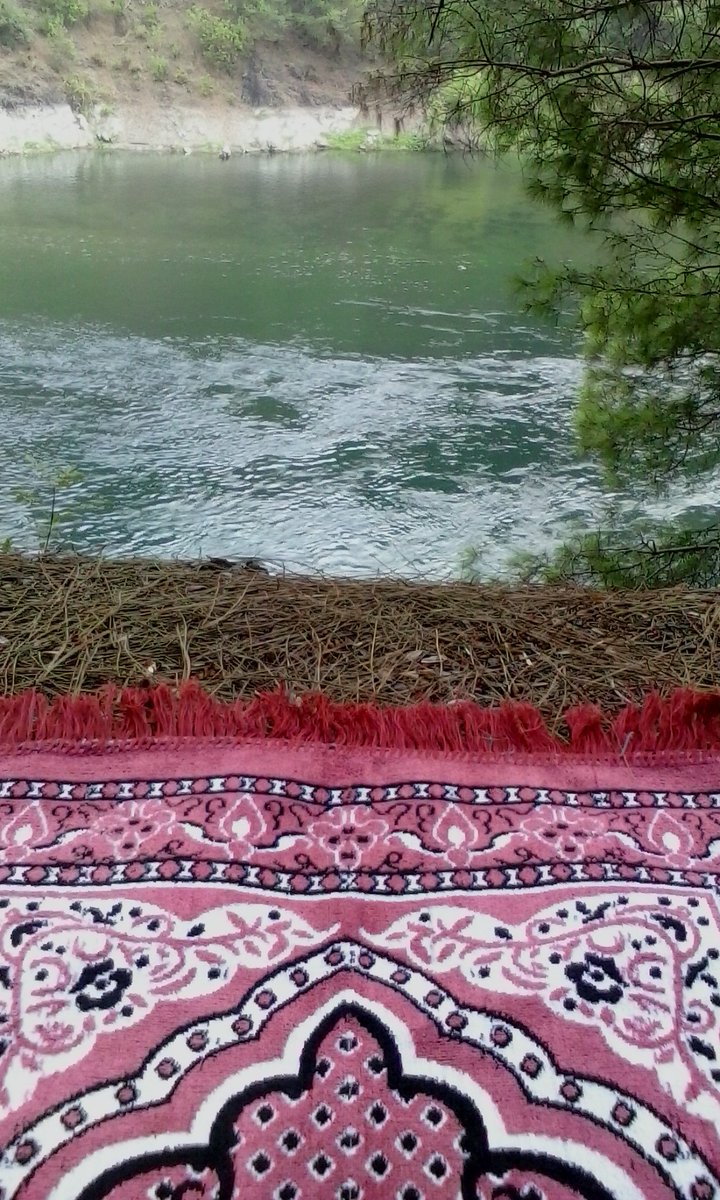 JustPeaceee tweet picture