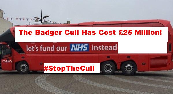 AmeleaTeckel's tweet photo. #stopthecull Defra would get a better return if they spent the money buying lottery tickets! and so would we
https://t.co/0oJMuGBXV5