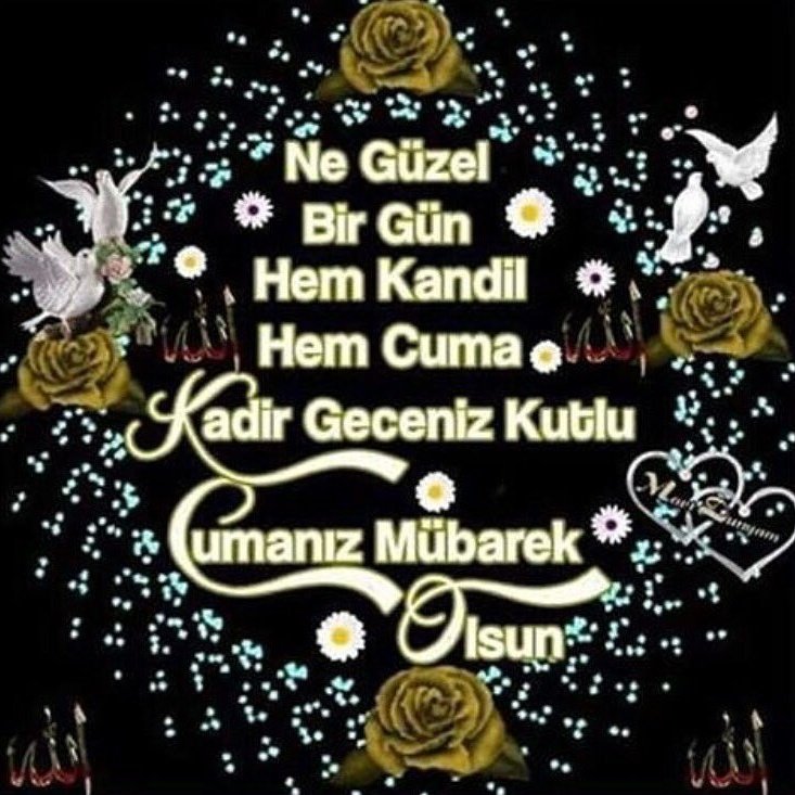 2876sevda's tweet photo. https://t.co/TEX4EtNtgq