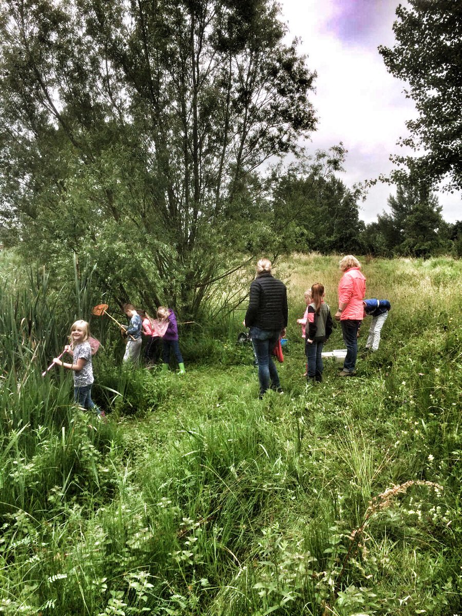 DeMerwedonk's tweet photo. Groep 3B aan het struinen met opa Jan ! @ovo_po #struinen https://t.co/rDT5V6N2Xj