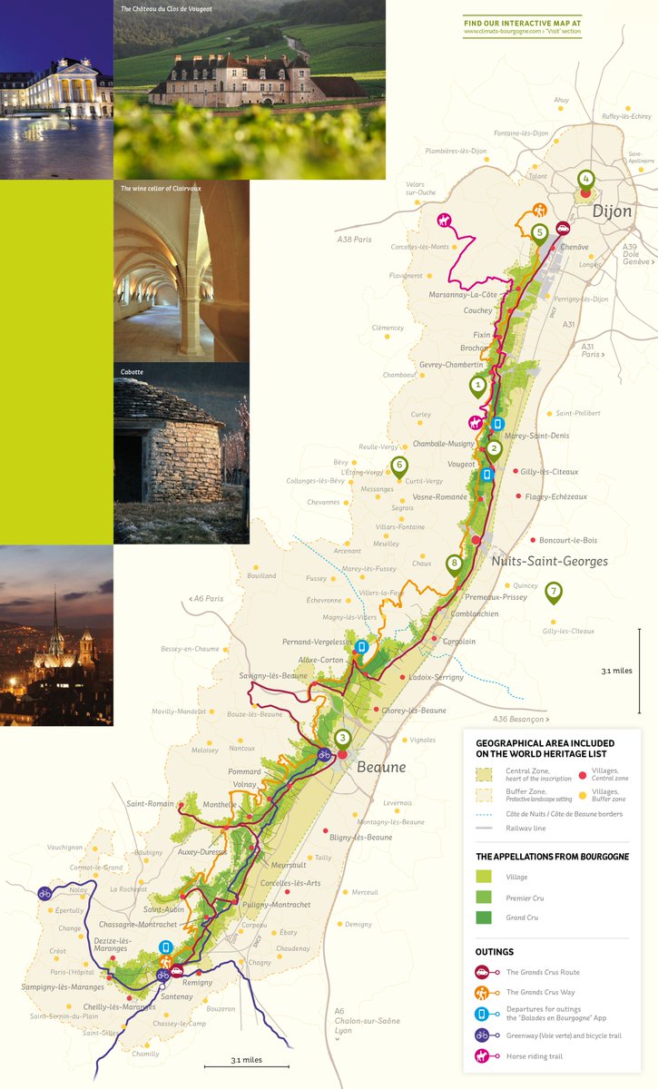 BourgogneWines's tweet photo. #1Year #ClimatsUNESCO Here's all you need to understand &amp; explore the Climats ▶️ https://t.co/clFxIu1Jim https://t.co/JtoqORsUhw