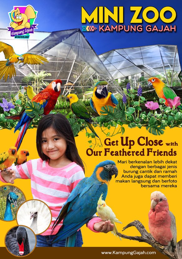 Get Up Close With Our New Feathered Friends at Kampung Gajah Wonderland's new attraction "MINI ZOO"