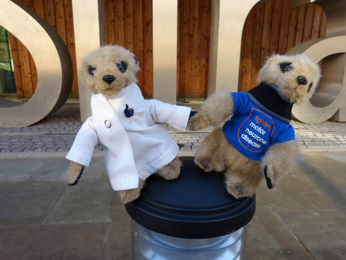 Mo LeCule tweet media