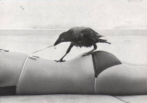3equis2rombos's tweet photo. Ya es viernes amig@s! RANDOM PICS esta aquí! 

Hoy especial fotos en blanco y negro.

https://t.co/hRCpCKe609 https://t.co/xYvganLKOA
