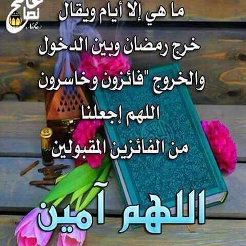 رانيا (@rgc0roz) on Twitter photo 