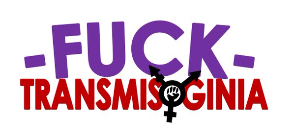 Anarcoanonima's tweet photo. NEGAR EL GÉNERO A UNA CHICA TRANS POR LOS MOTIVOS ES TRANSFOBIA Y TRANSMISOGINIA https://t.co/BPUqNU1Gvh