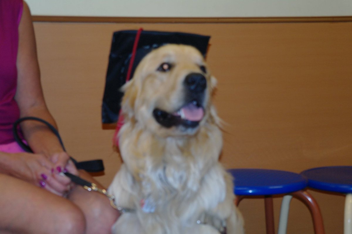 Leslie Ellis tweet media