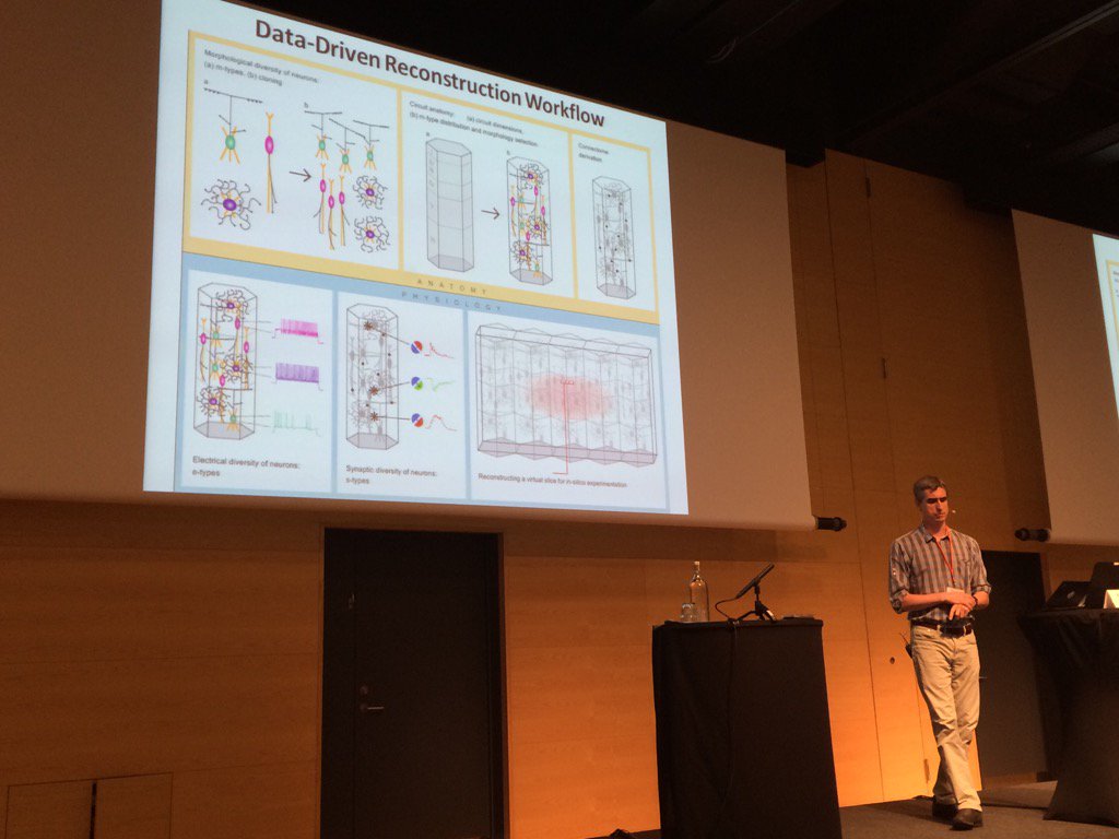 srikipedia's tweet photo. Eilif Muller talking about a digital reconstruction of neocortex @FENSorg #blubrainpjt #humanbrainproj https://t.co/L3noBrevIZ