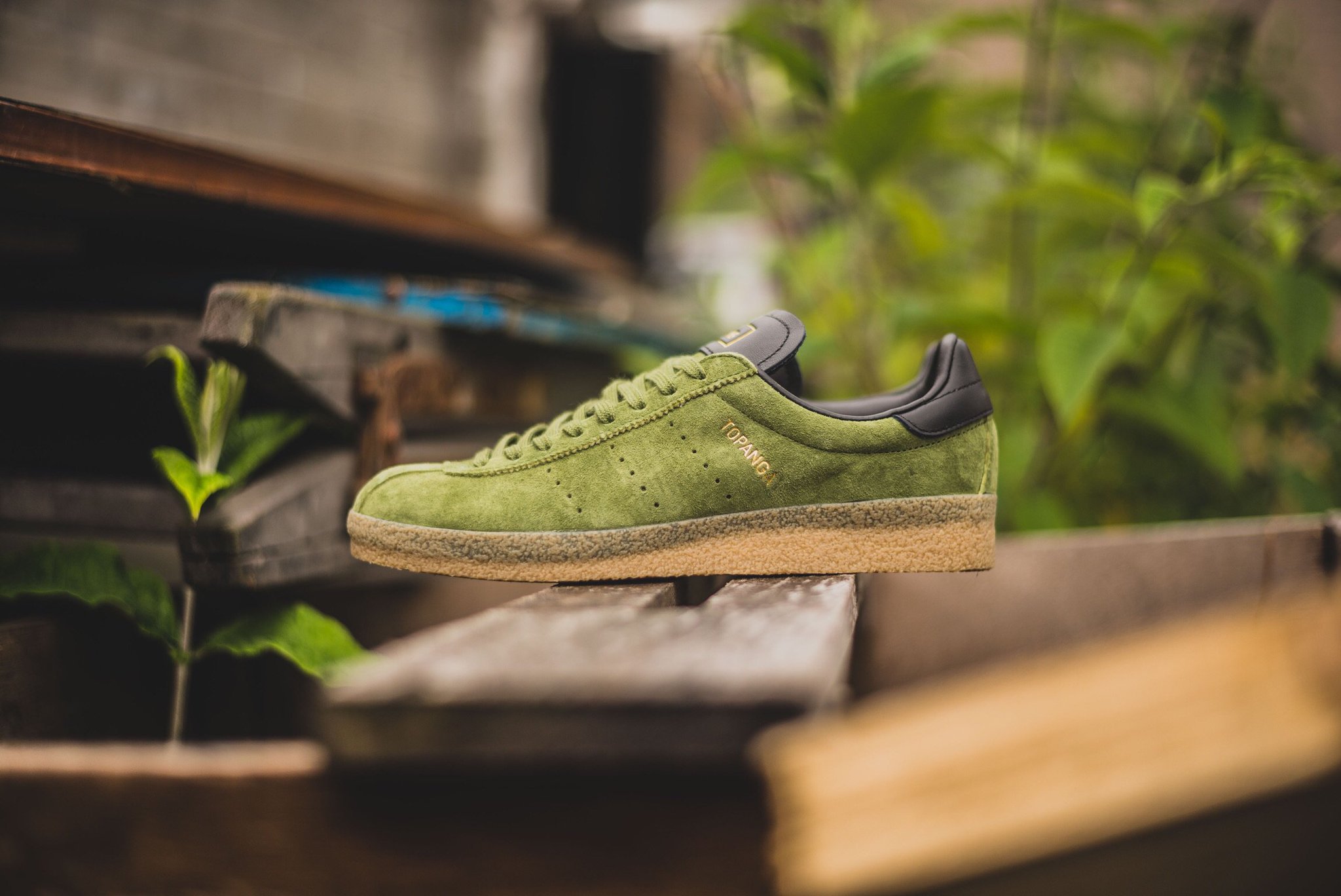 Adidas topanga clean green sale