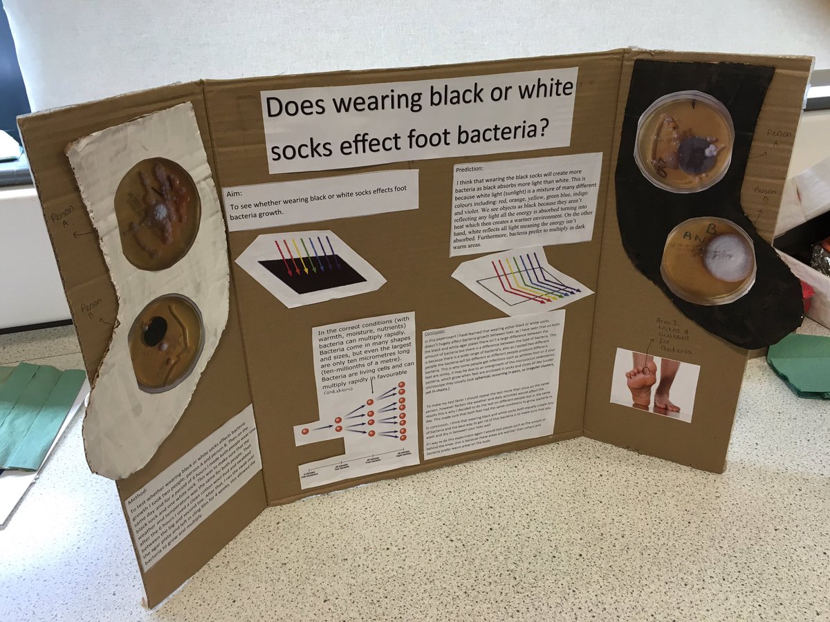 ScienceRamsey's tweet photo. Y9 project submission #toughcompetition #howscienceworks #everydayscience https://t.co/AZ4zabdE6B