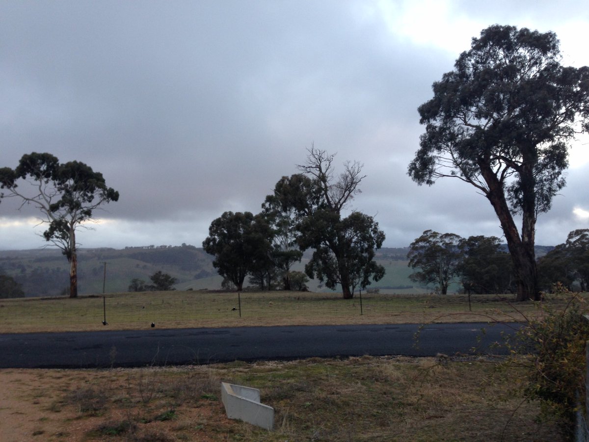 cactusian's tweet image. Day 972
#MyFrontGate 

#MyFrontDoor late afternoon