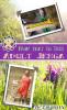 ActiviDIY's tweet photo. How to #make a large #outdoor #Jenga #game - #Summer 2016

https://t.co/OxLnAXl2UM

#DIY #woodworking #crafts #make https://t.co/xkN5eyaYEI