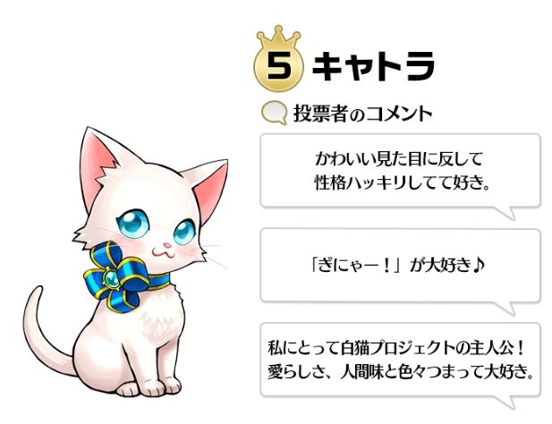 白猫 内容掲載 キャトラは一部ユーザーに嫌われているという現実 白猫まとめmix