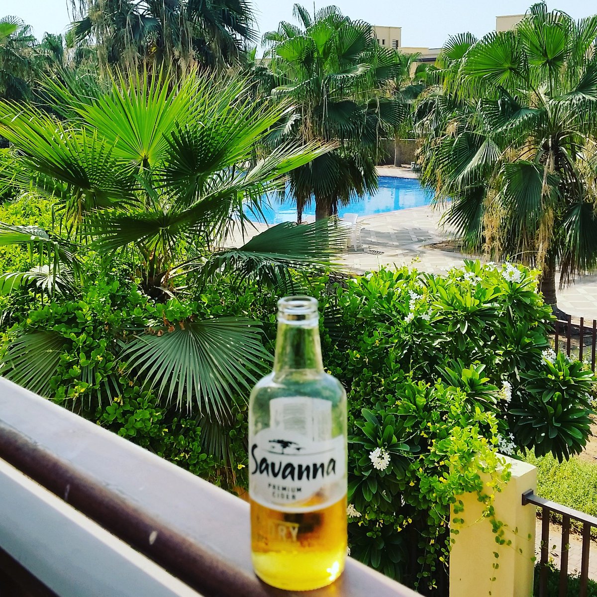 kelvintodd's tweet image. is it too early for cider?? #newhome #damhot