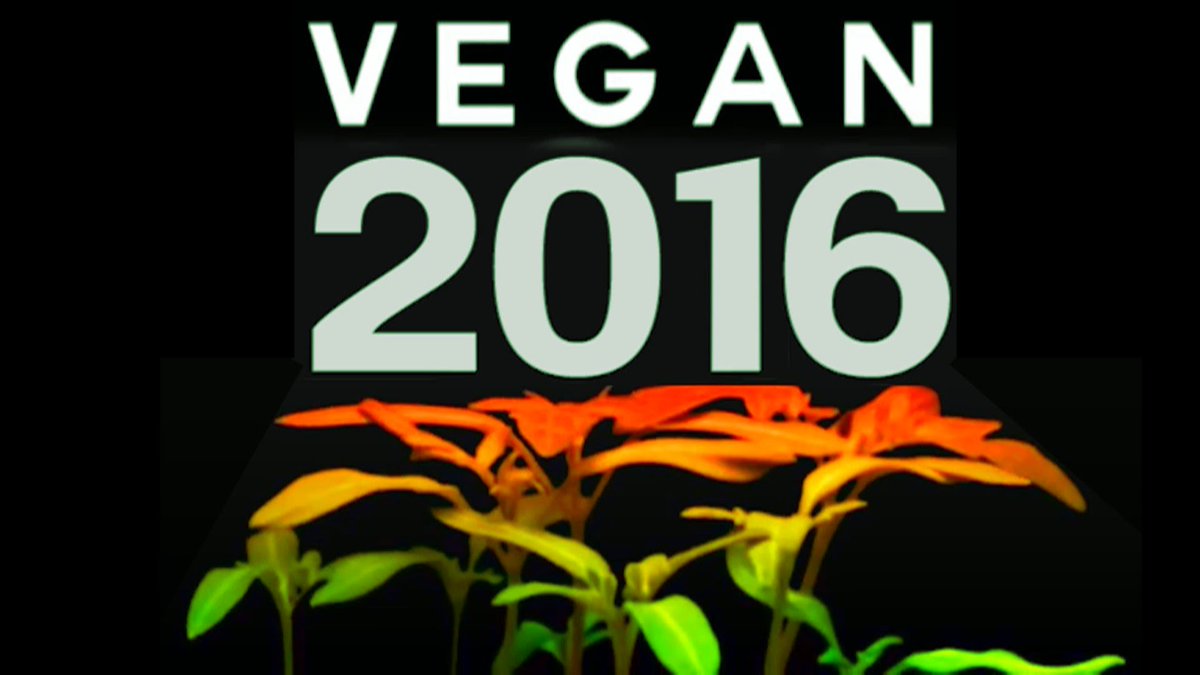SheffieldVegan's tweet photo. Great short movie about veganism in 2016 @plantbasednews : https://t.co/mMu0spixpI - #veganhour #vegan #sheffield https://t.co/V9m5CfTJQx