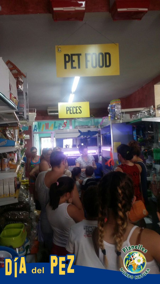 PlanellesMundoN's tweet photo. Montones de niños ya han pasado hoy por Planelles Mundo Natura en el DÍA DEL #PEZ. https://t.co/ZsH3Rp57IN