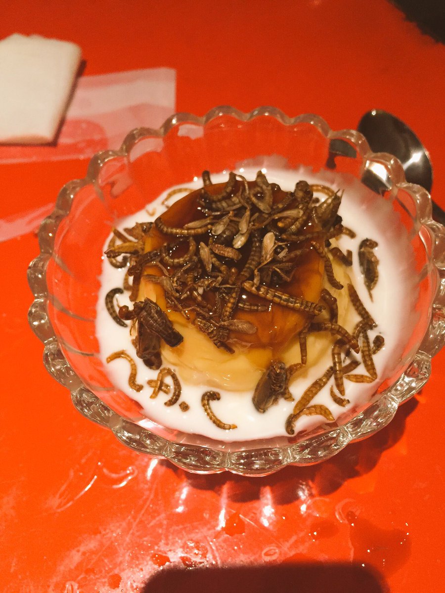 Rekoba Auf Twitter 虫はやばい ってお店に入ったけど ゴキブリの唐揚げで虫美味くね ってなって 異物混入プリン美味しく頂きましたw Cystyさんなんて虫美味くね って言い出して虫だけ食べ始めるしww