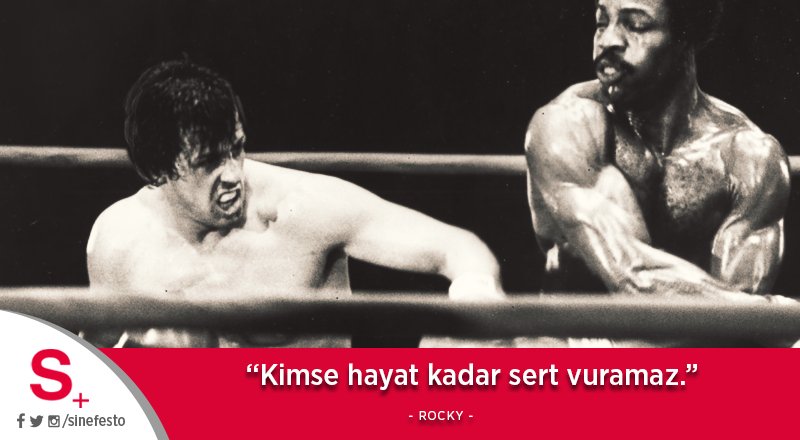 sinefesto tweet picture