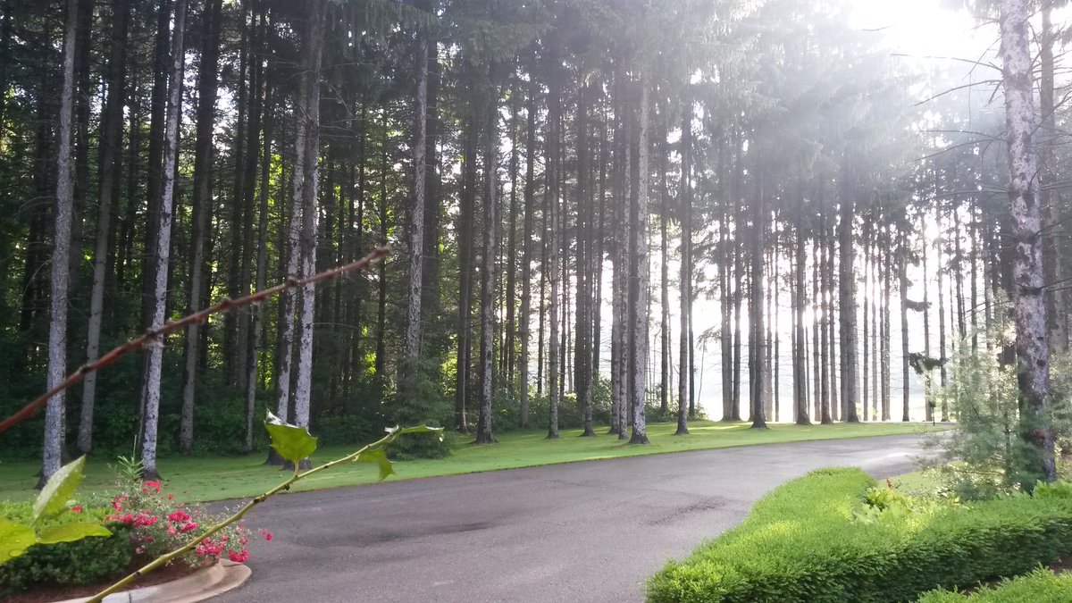 It's shaping up to be a beautiful day here at Shepherd's Hollow. Happy Canada Day to all of our Canadian friends!