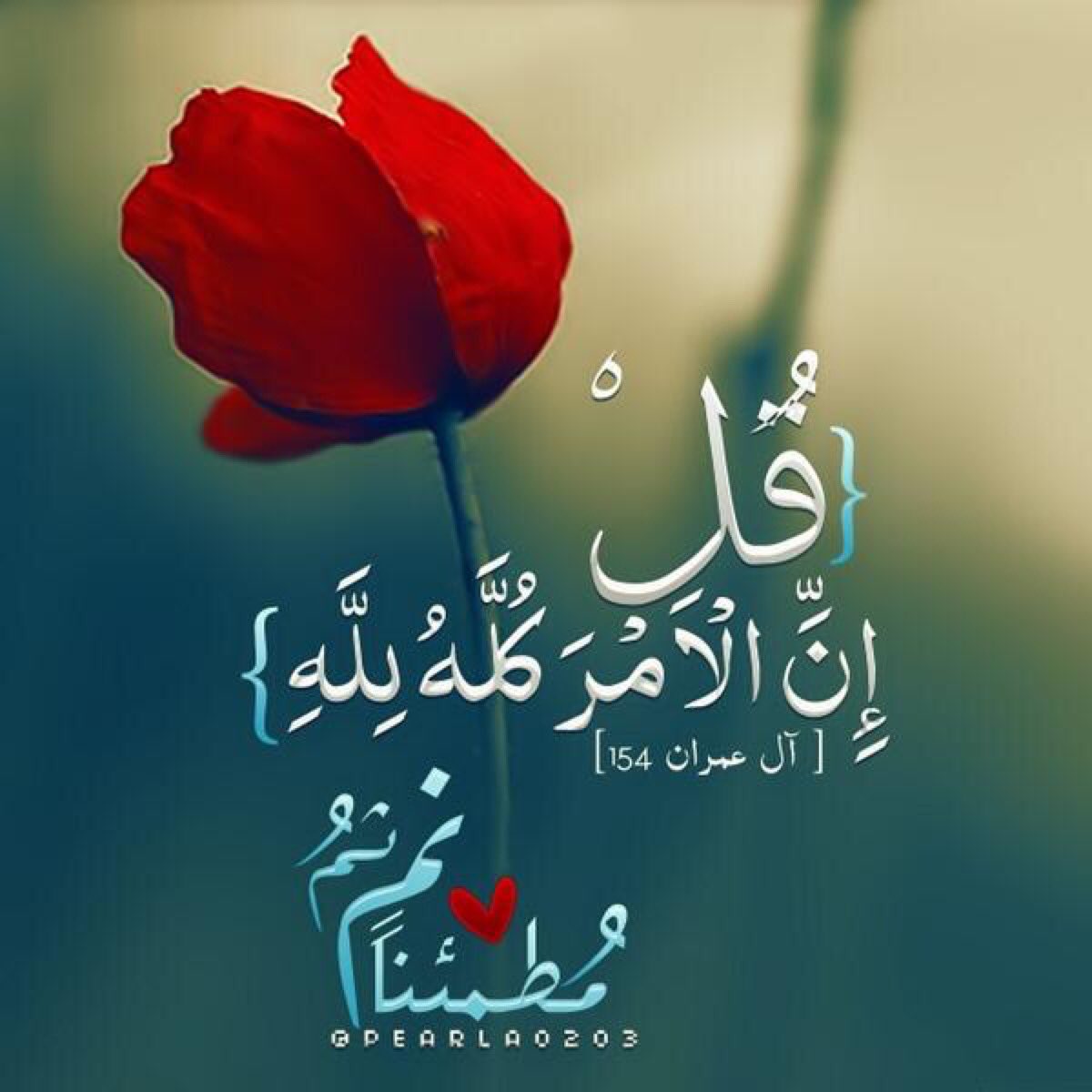 shaerzahran1's tweet photo. #جرۉح_شآعر https://t.co/E5y19t2h5O