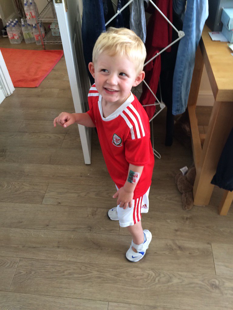 craigjayhowells's tweet photo. @FAWales  #TogetherStronger #WALBEL brody ready to support @GarethBale11 https://t.co/cKLZMwY99l