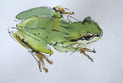 ThinkBonsai's tweet image. Why are frogs so happy?
They eat whatever bugs them.

#InternationalJokeDay #Nature #Art #ThinkBonsai