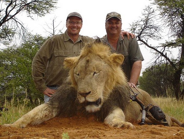 SupportPets's tweet photo. One Year!#CecilTheLion murdered!We must keep #CecilLegacy alive & relentlessly continue to fight #Animalcruelty RIP https://t.co/x5TtMhrdg0
