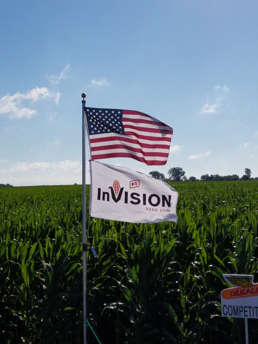 A27Killian's tweet image. HAPPY 4TH OF JULY #PIATTFS #STARSANDSTRIPES #CORN #GROW365 @GMK_Agronomy @FSServices