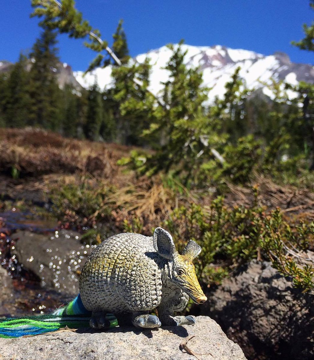 .<a href="/regularing/">The Regulars</a> Greetings from #MtShasta, y'all ^_^ buff.ly/297SDCv Clear water, fragrant pines, recharging