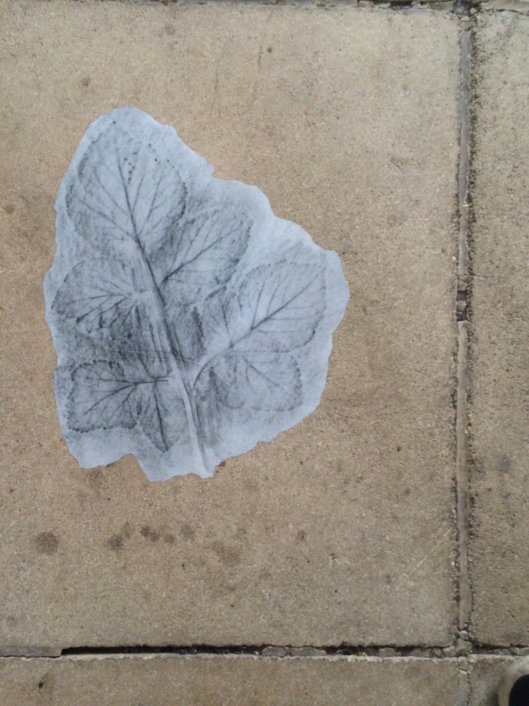 zoelpalmer's tweet photo. Understory- A celebration of patterns beneath. Beautiful work from @Green_Gould in collab @DartfordCreates https://t.co/jokZFLfWE3