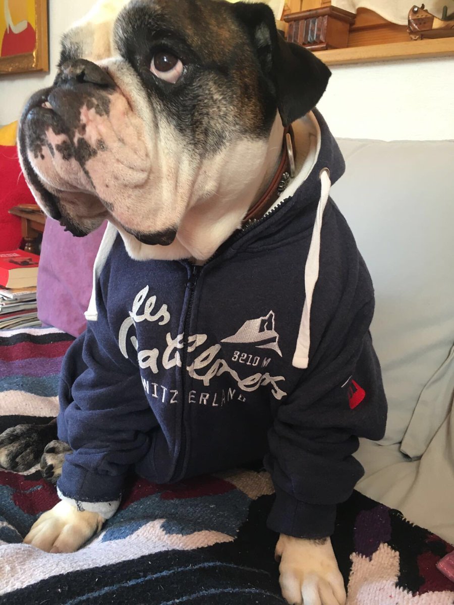 Diablerets#sweat#JackySports#