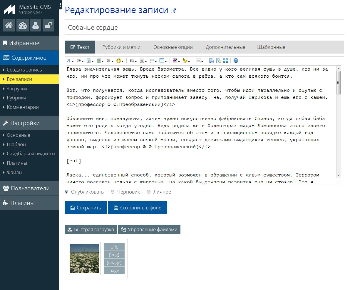 maxsite tweet picture