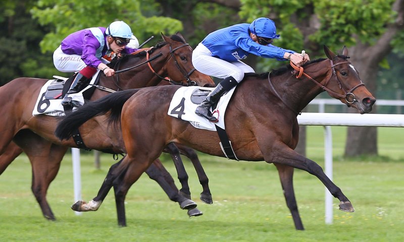 godolphin's tweet photo. #Jollify moves up in class again in the G2 Prix de Malleret at #SaintCloud: https://t.co/u82w6FNfMj #TeamGodolphin https://t.co/NNeHH3V0xW