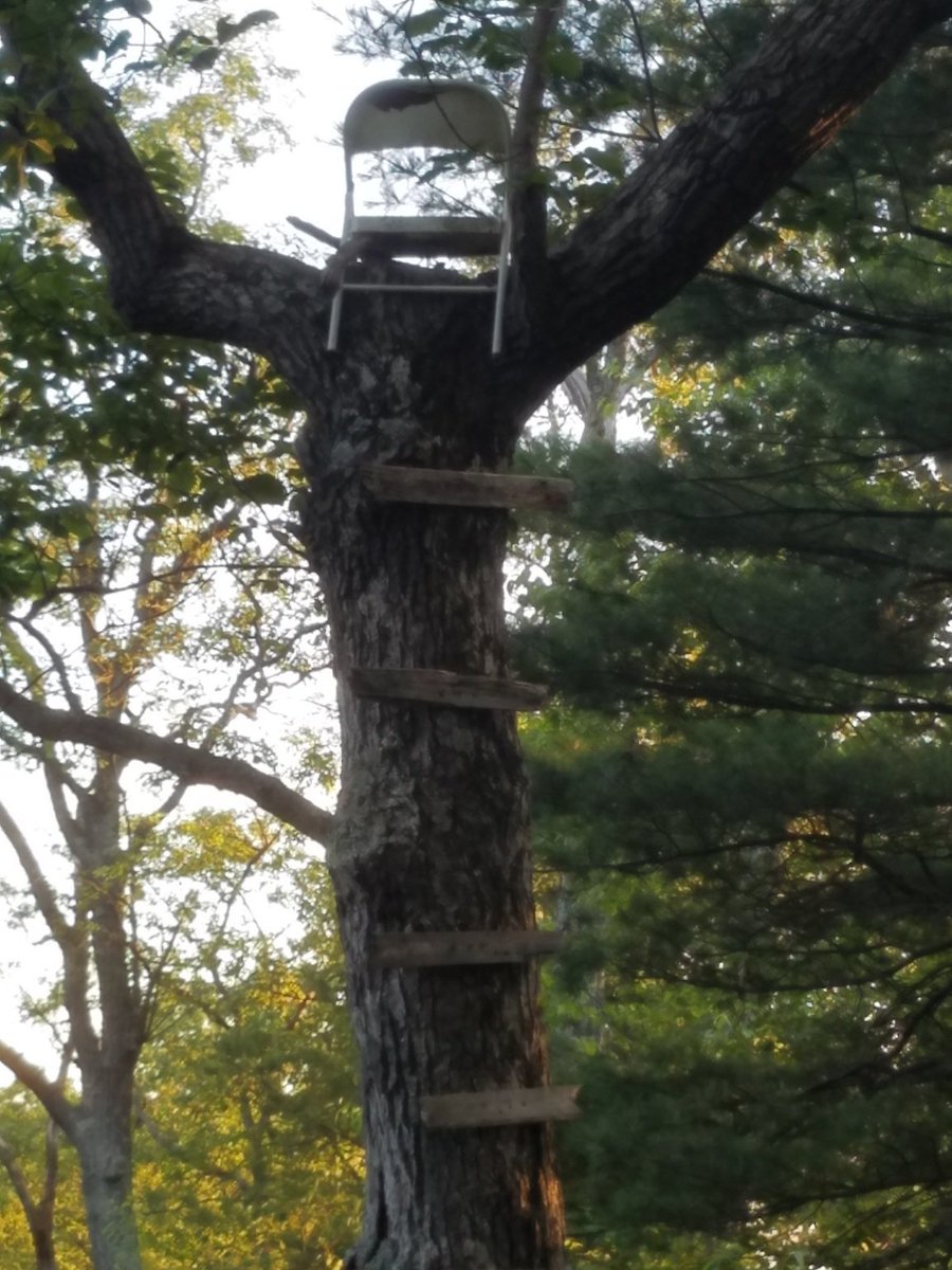 IWOMouterwear's tweet photo. Best tree stand ever. #hunting https://t.co/X36OSrSmni