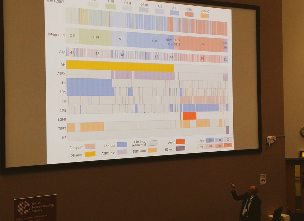 BrainTumourOrg's tweet photo. @Seb_Brandner of @ucl shows how different tumour types can be grouped by combinations of molecular traits #BNOS2016 https://t.co/uviZZ4kFjN