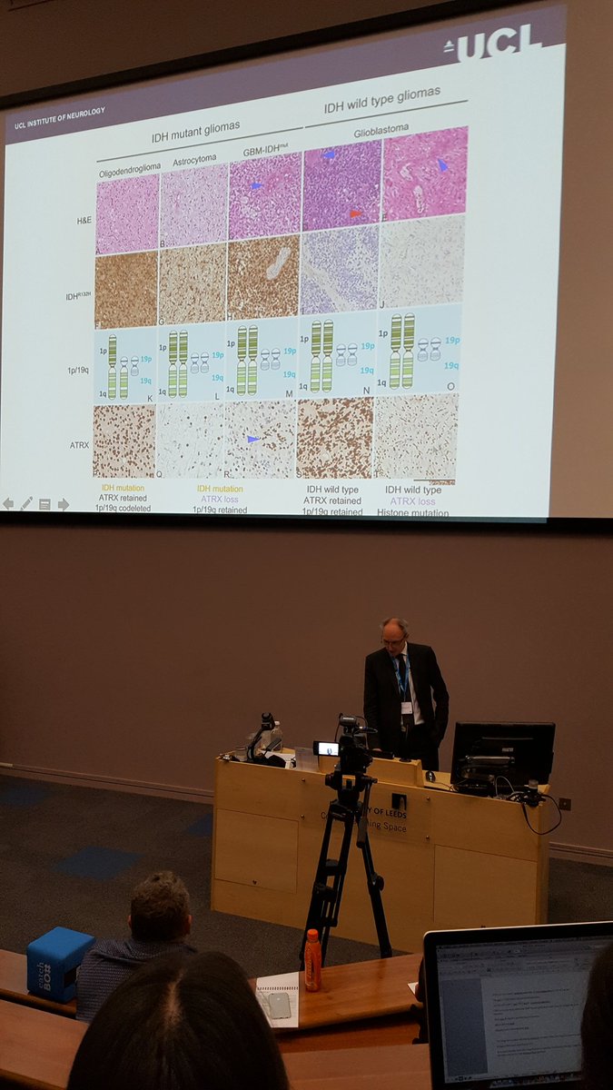 LucyFStead's tweet photo. Final day of a fantastic conference #BNOS2016 Prof Brandner summarising classification strategies https://t.co/Dm2F7Qk8M7