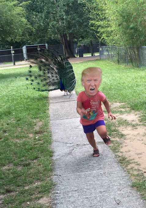 ここで ネット民天才か ｗ ってなるコラ作品をご覧下さい Matomehub まとめハブ